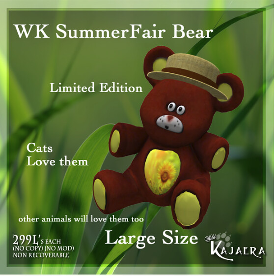 WK Summer Fair Bear