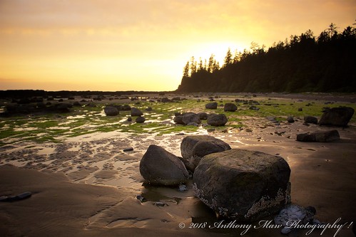 bc beach canada coast forest landscape nature rocks sunset wct