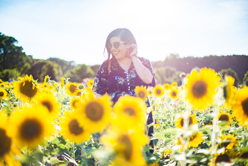 Sunflower Field-@headtotoechic-Head to Toe Chic