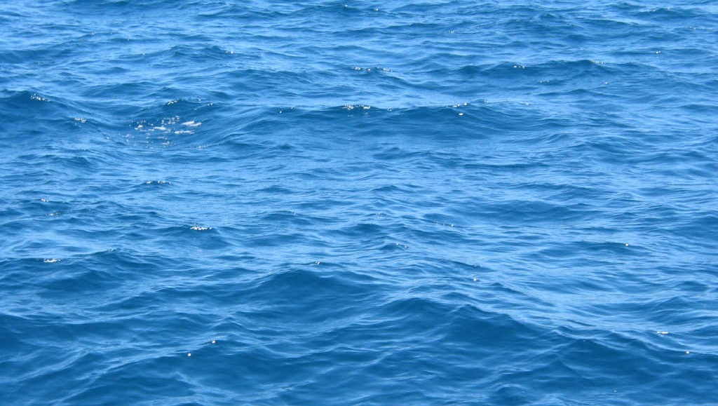 Small waves in sea water.