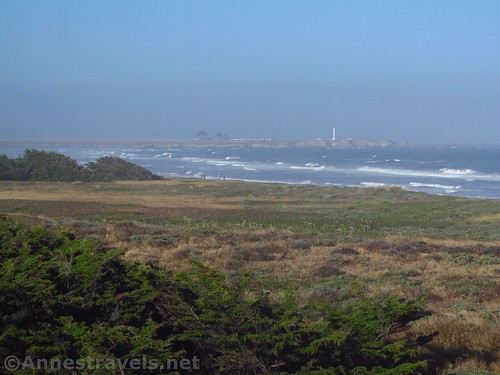 On the dunes of Manchester Beach State Park with views of the Point Arena Lighthouse, California