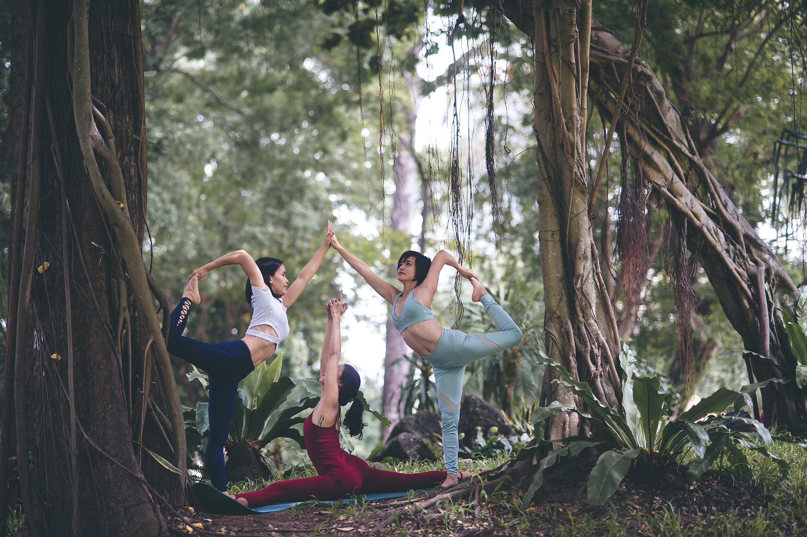 41466324960 0436ca365f h - Bộ ảnh Yoga với 3 thiếu nữ chụp tại công viên Tao đàn