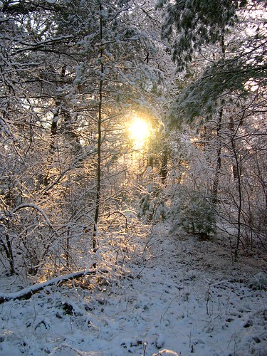 snow sunrise december