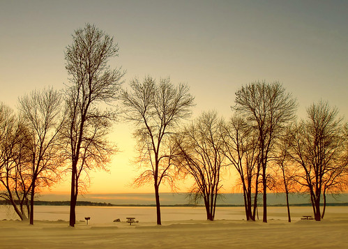 park morning travel trees winter light sunset camp sky orange lake fish snow cold color colour nature beautiful silhouette yellow horizontal skyline wisconsin sunrise landscape outdoors dawn frozen woods colorful warm quiet dusk empty postcard branches nobody visit environment lonely recreation happyholidays treeline wi mothernature dramaticlighting lakefront icefishing clearsky globalwarming winterfun frozenlake noleaves winterweather inarow stoughton stockphotography calendarphoto waitingforsummer countypark colorimage onthehorizon danecounty picnicbenches colorfulsky beautyinnature leaflesstrees closedfortheseason winterrecreation beautifulscene bandsofcolor dramaticcolor winterinwisconsin wisconsinlandscape emptyinthewinter