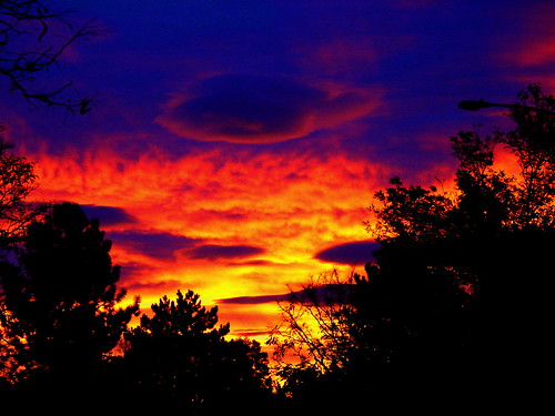 trees sky color clouds sunrise colorado denver digitallyaltered