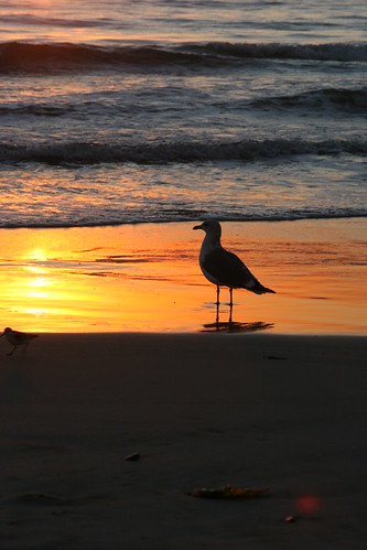 california sunset beach southern