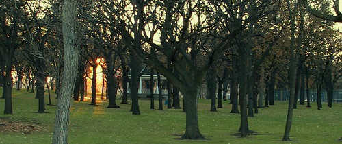 park trees light color sunrise shadows gazebo northdakota fargo vivaldi goldenlight islandpark