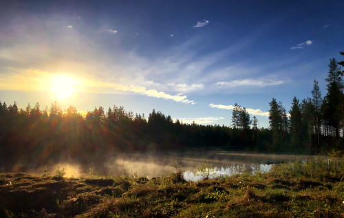 finland finlandnorway birding holiday kuusamo northernostrobothnia fi mist sunrise water
