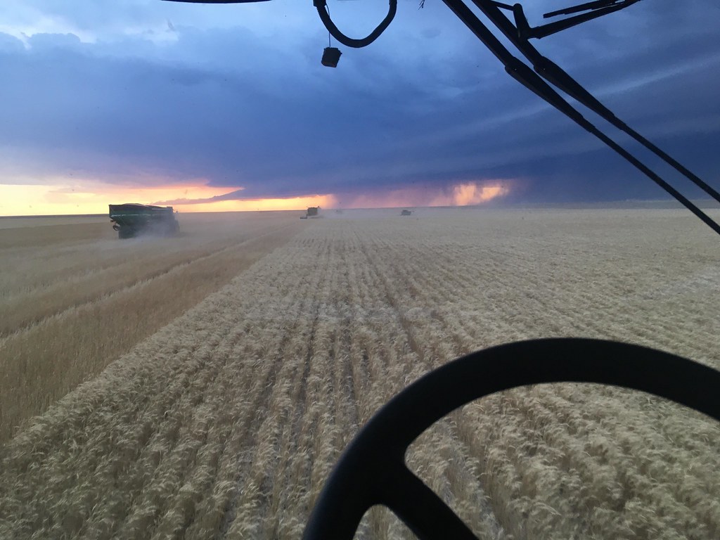 High Plains Harvesting 2018