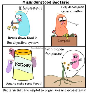 misunderstood-bacteria-v-2-png_orig