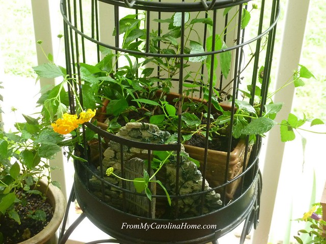 Upcycle Birdcage at FromMyCarolinaHome.com