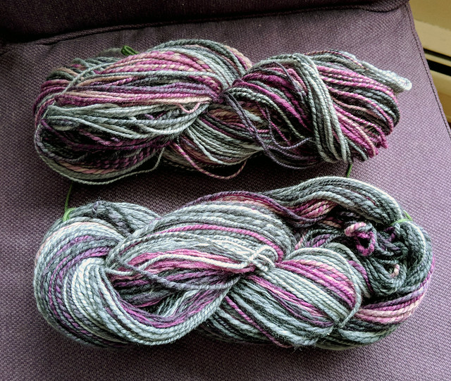 Into the Whirled Polwarth-Silk Blended Top in 221b Colorway Post Bath Skeins
