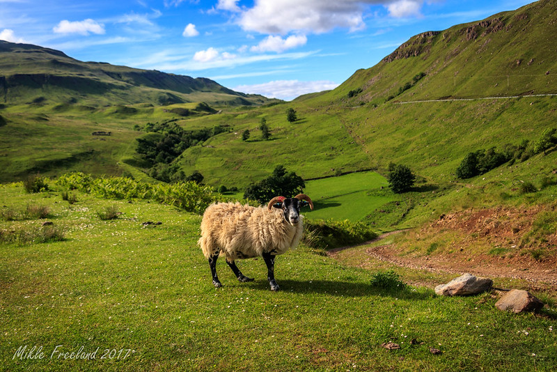 Шотландия в 1000 фотографиях: Нортумберленд, Эдинбург и Хайленд:  Arrochar, Glencoe, Ardnamurchan, Island of Skye