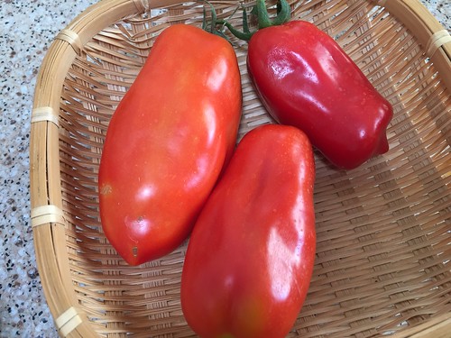 San Marzano tomatos