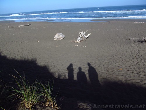 Shadows on the clifftop at Manchester Beach State Park, California
