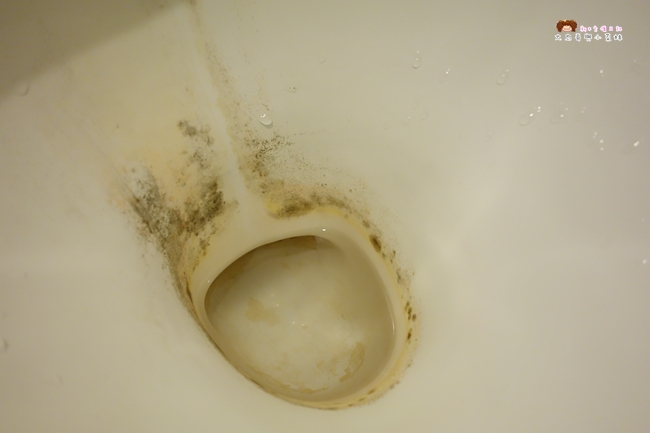 AIMEDIA艾美廸雅 廁所去污橡皮擦 馬桶尿垢去除方法 (13).JPG