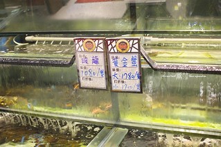 鼎陶蒸 -藤崎薰蒸氣海鮮鍋物