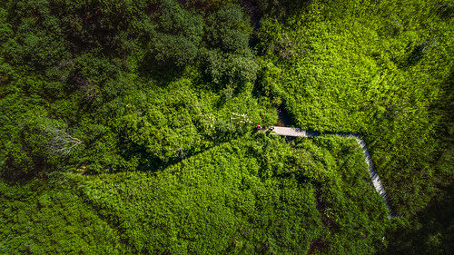 bowintheclouds dji djiphantom4advanced kalamazoocounty michigan swmlc us unitedstates aerialphotography drone flying kalamazoo outdoor park summer sunny wetland