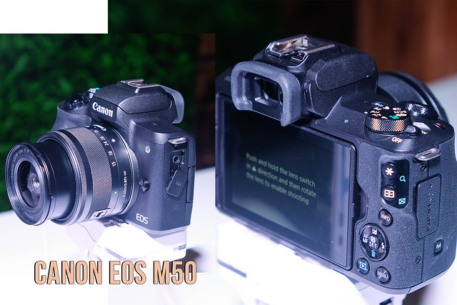 Patricia Villegas - The Lifestyle Wanderer - Canon - Philippines - EOS 3000D - EOS 1500D - EOS M50 - PowerShot G1X Mark III - Mirrorless -  DSLR - Digital - Camera -10.5