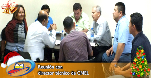 Reunión con director técnico de CNEL