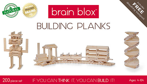 200 piece brain blox building planks box set