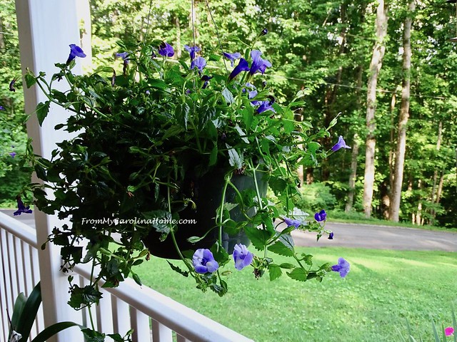 July In the Garden at From My Carolina Home