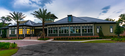 evening florida flowersplants outdoor palm panorama plant sky sonynex6 stjohnscounty summer usa bhagavideocom clouds fl haroldbrowncom harolddashbrowncom highway masterplannedcommunity photosbhagavideocom riverclub rivertown road stjohns tree haroldbrown