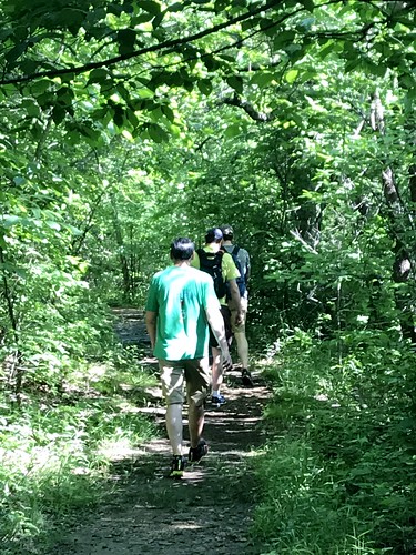 park tree trail hiking