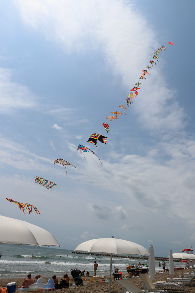 Kites from a haggler