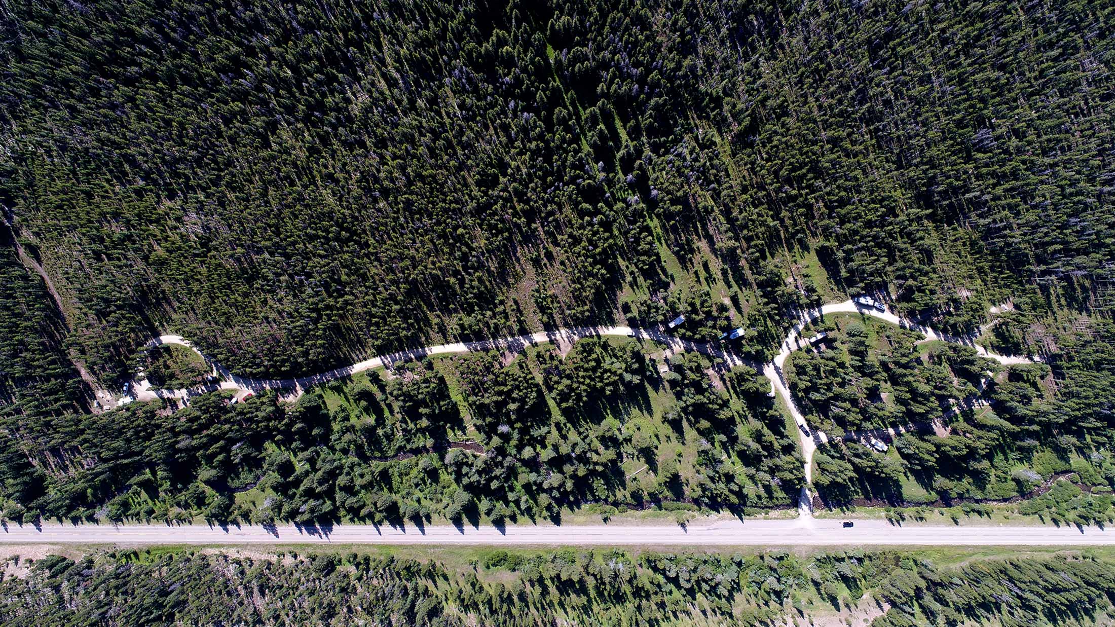 Information about Many Pines Campground located on Highway 89 in Cascade County. 