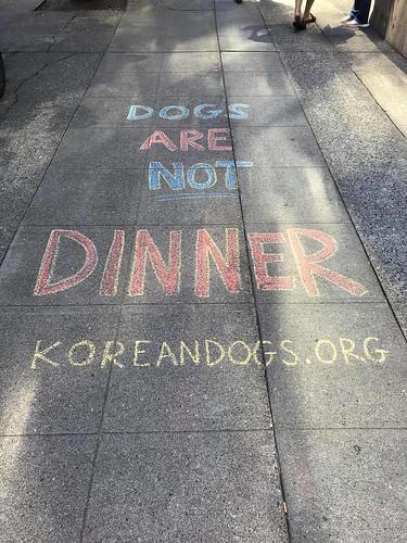 Seattle – End the Korean Dog Meat Trade Demonstration 2018 (Day 2) July 27, 2018