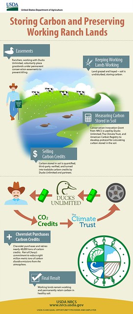 資訊圖像案例_USDA_Storing Carbon and Preserving Working Ranch Lands