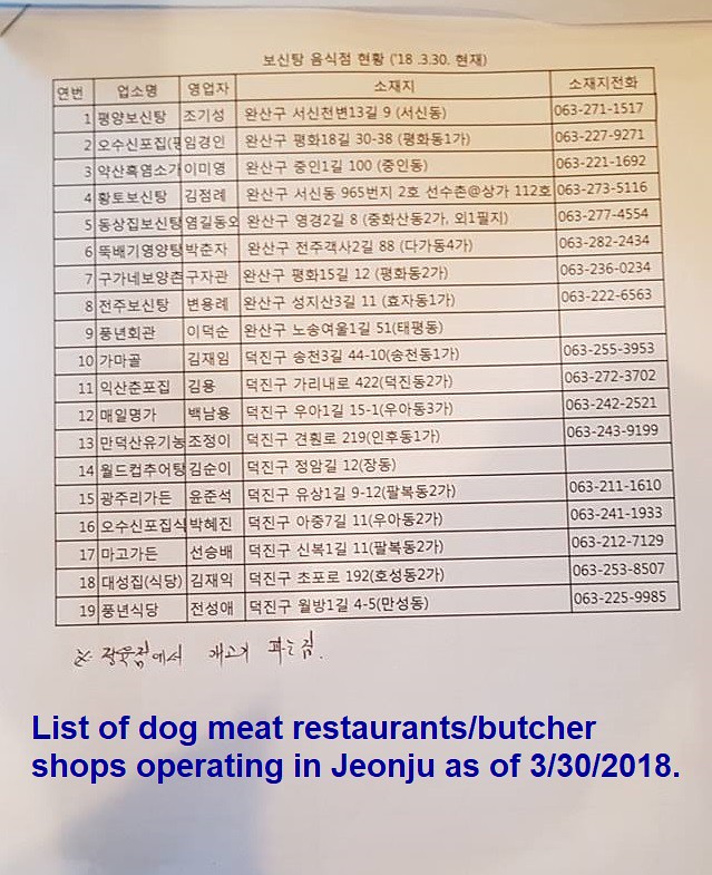 Jeonju going dog meat free 072018 (6a)