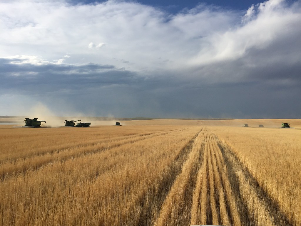 High Plains Harvesting 2018 (Ryan)