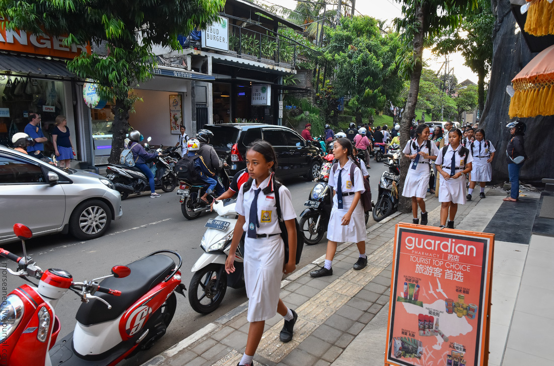 #СКАЗОЧНОН​*****И Bali-Ubud-(11)