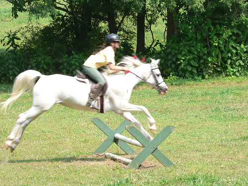 horse laura lady jump gypsy cavalettie