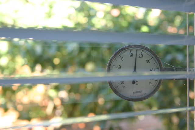 Thermometer and apple tree behind the kitchen window