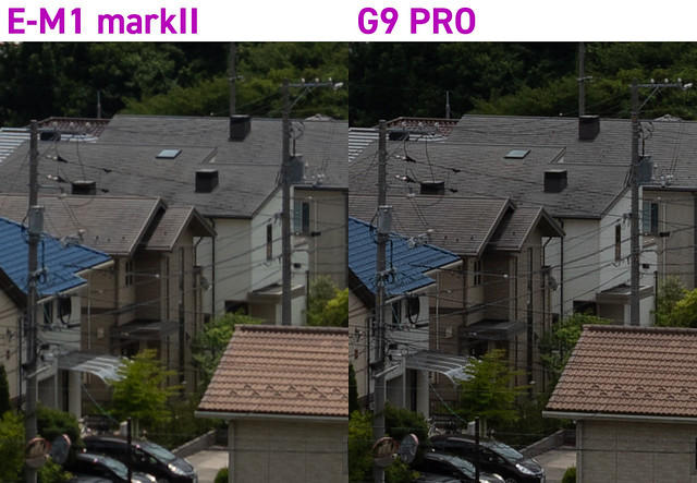 E-M1 markII vs LUMIX G9 PRO(80M)