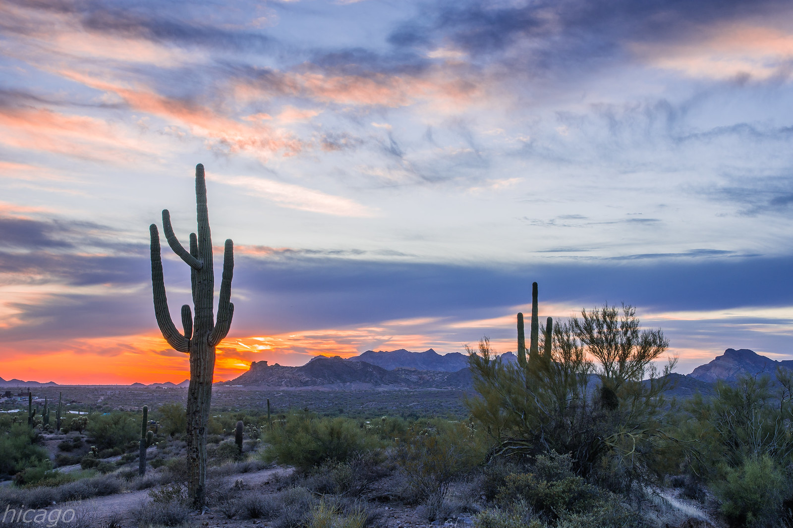 Южная Аризона - Donde vive el cactus?