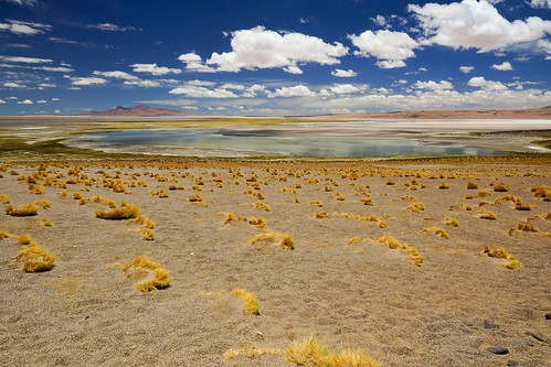 chile atacama desertodeatacama desert desierto sanpedrodeatacama