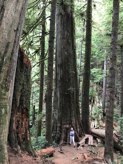 2018 Vancouver Island - Day 3