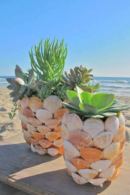 How to Use Branches, Seashell and Stones in Your Home