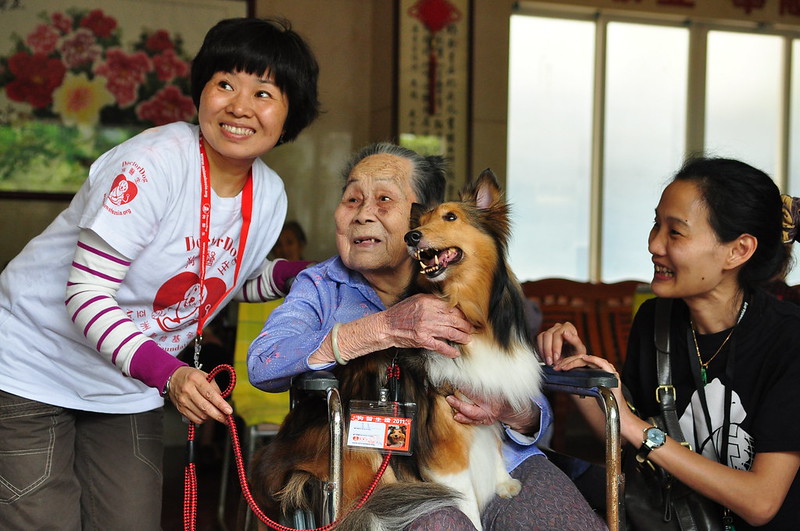 Dr Dog and human companion pay a visit to a nursing facility for the elderly