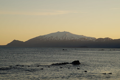 Thingvellir y Península de Snaefells - Islandia en grupo organizado (80)