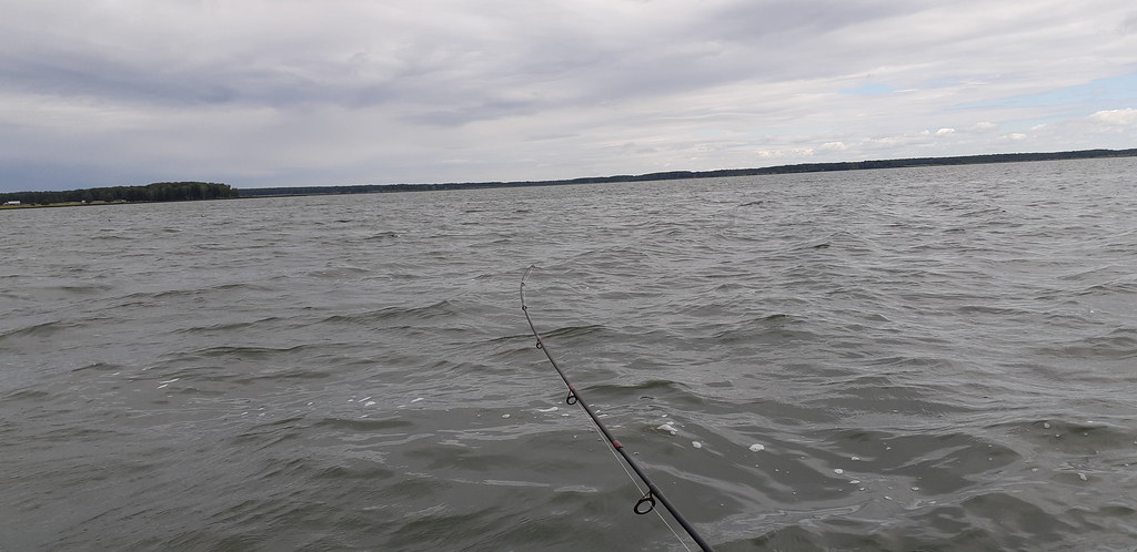 Один мой рыбацкий день поэтому, потому, поклёвки, только, озеро, Мишка, очень, клюёт, ничего, довольно, совсем, слишком, папой, дальше, домой, озере, лодке, рыбачить, много, место