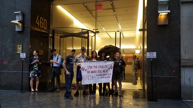 New York, South Korean Consulate General, ‘Boknal’ Demonstration for the South Korean Dogs and Cats (Day 1) – July 17, 2018 Organized by The Animals' Battalion