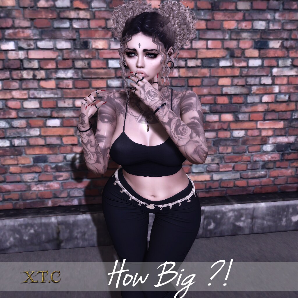 WOH – How big?! 4th-18th August