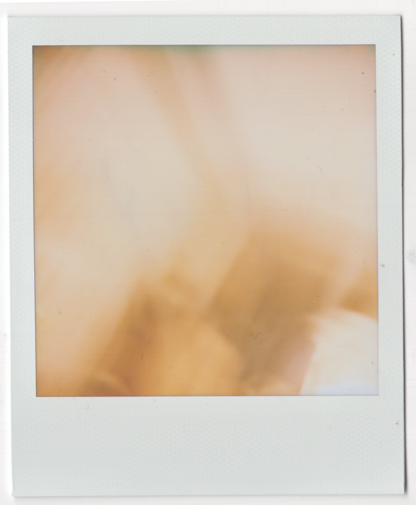 	The day my (favorite) SLR 680 died by Kenny’s Fab Lab  	Via Flickr: 	©2018 Kenny’s Fab Lab, All Rights Reserved  My Instagram: Kenny’s Fab Lab  Camera: Polaroid SX-70 Model 2 Film: Polaroid Originals 600 Color  Support those with Multip