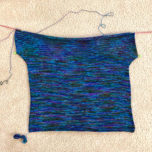 Dragonfly pullover
