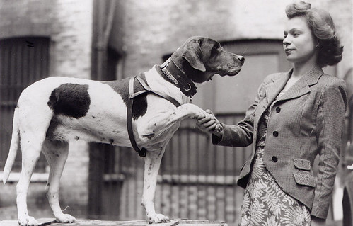 Maria Dickin with dog
